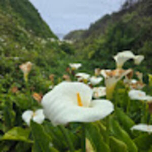 Meet your Posher, Larissa